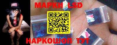 индика Ярославль
