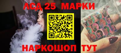 индика Ярославль