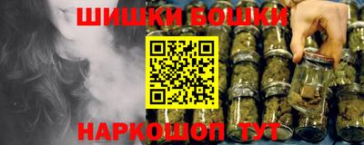 индика Ярославль