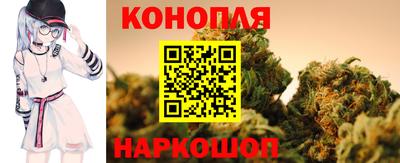 индика Ярославль