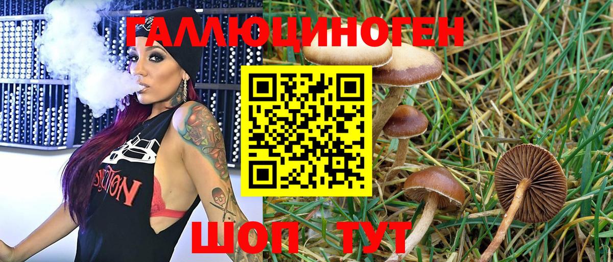 Благодарный  Псилоцибиновые грибы Psilocybine cubensis  Вход с VPN 